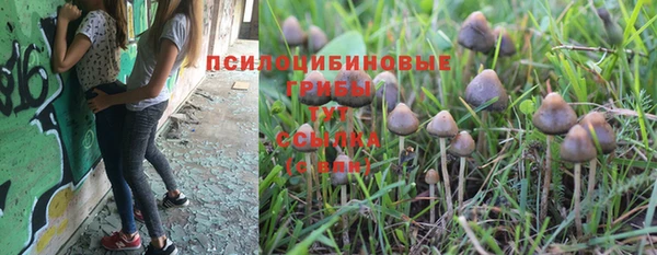 амф Аркадак