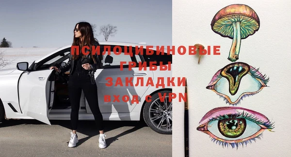 амф Аркадак