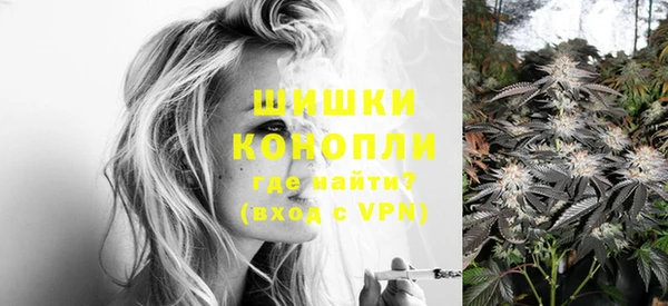 амф Аркадак