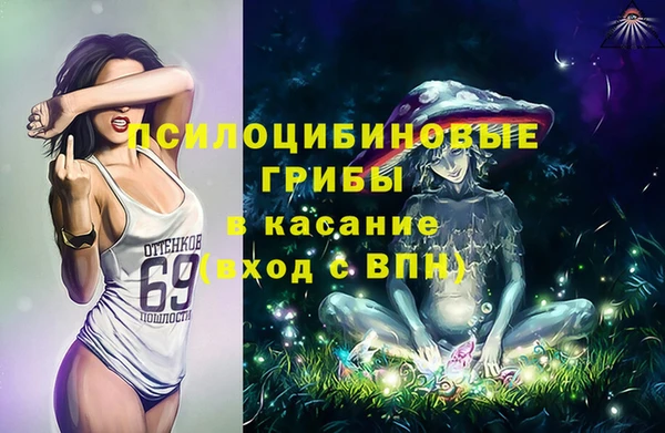 амф Аркадак