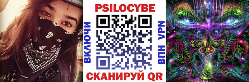 Купить где  Сурск  Галлюциногенные грибы мухоморы 