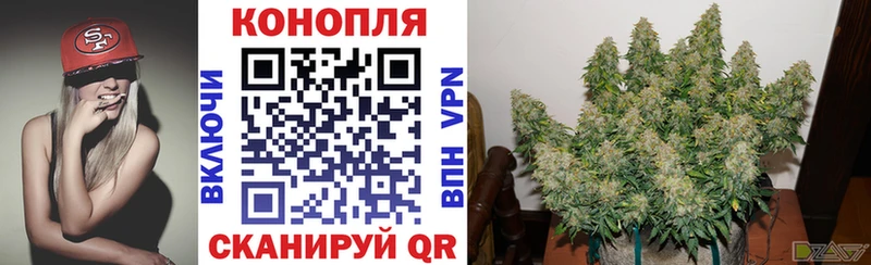 Купить где  Сурск  Каннабис AK-47 